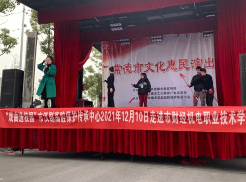 第二屆文化藝術(shù)節(jié) 非遺文化走進(jìn)常德財(cái)經(jīng)機(jī)電職業(yè)技術(shù)學(xué)院